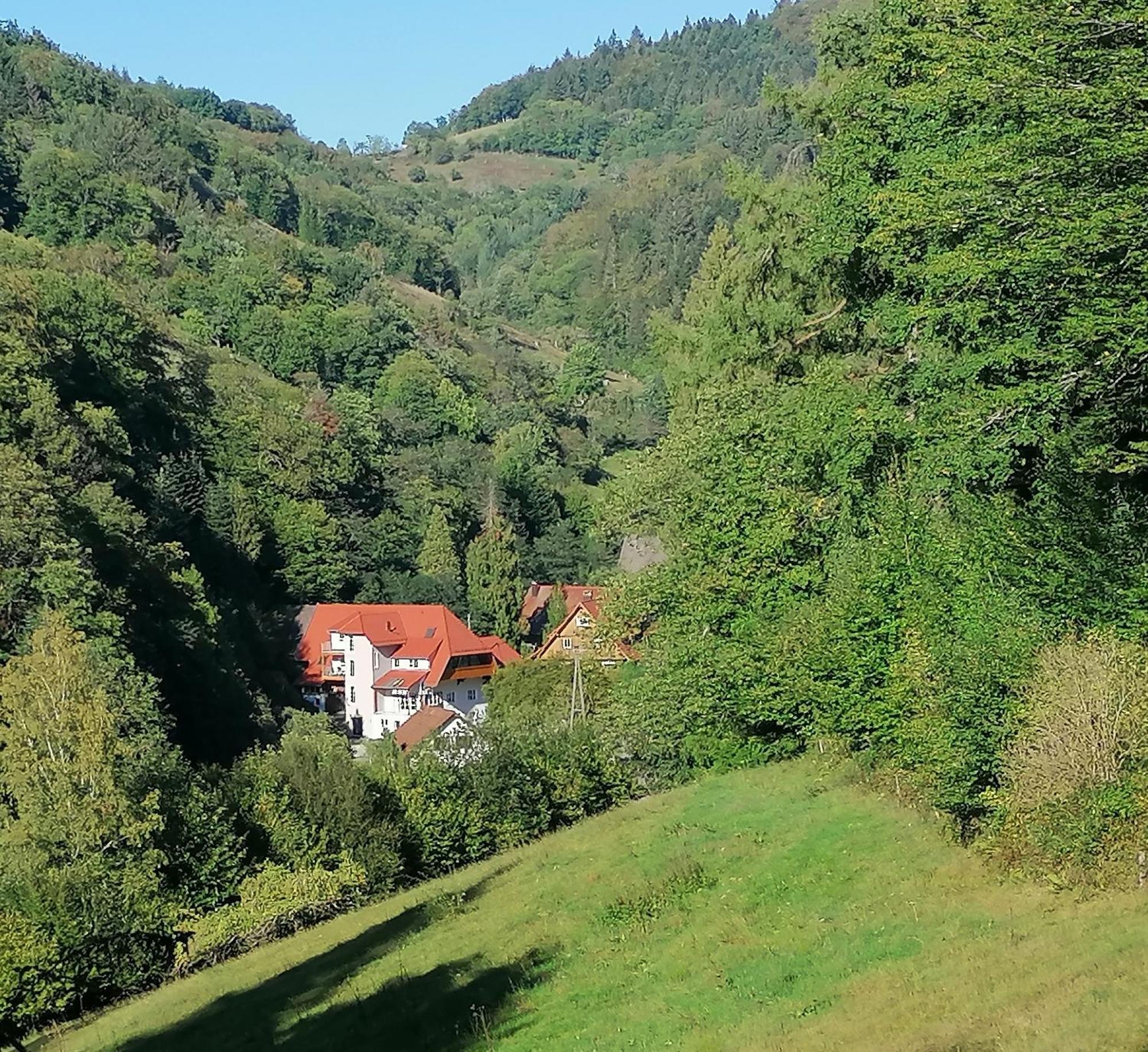 Huberhof Pfaffenbach Villa Gengenbach Luaran gambar